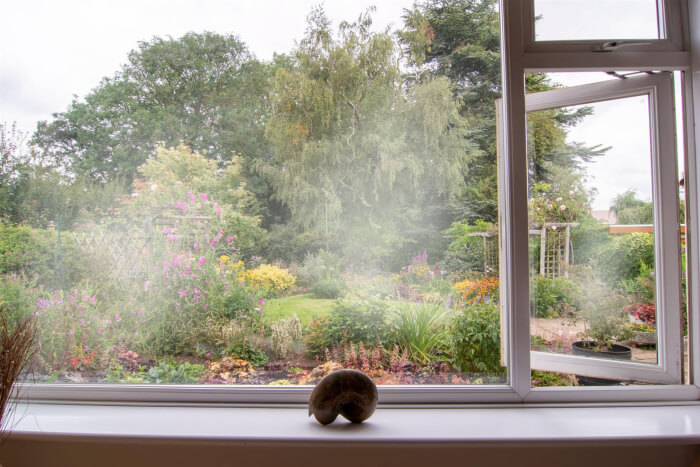 misty windows